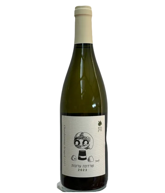 מרץ226 - שרדונה ערוגות 2023