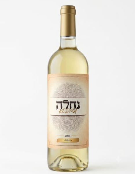 יוני16 - נחלה לבן 2024 יקב קדמא