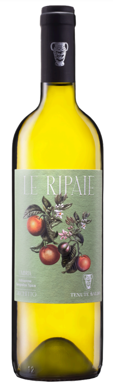 אוק13 - גרקאטו