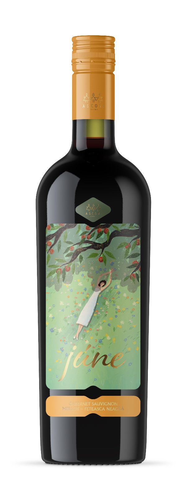 נוב12 - קברנה סוביניון מרלו ג'ון