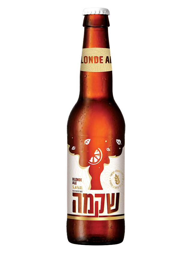 אוק21 - תריסר (12) שקמה בלונד 330 מ"ל כשר