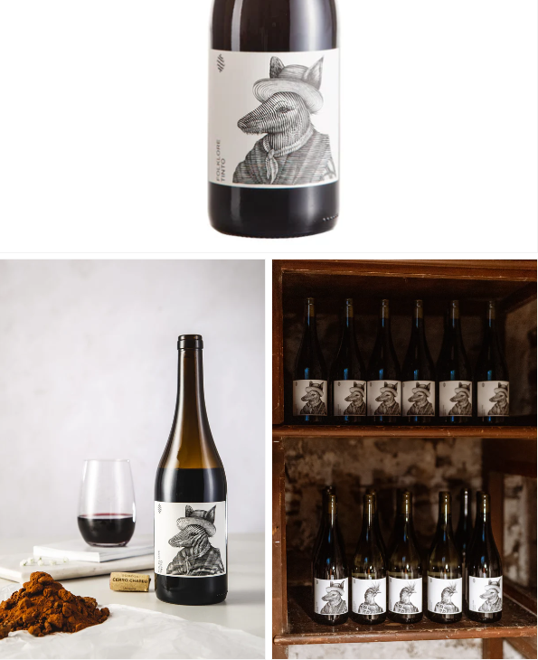 נוב12 - פולקלור טינטו