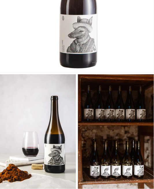 נוב12 - פולקלור טינטו