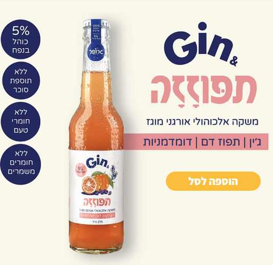 אוג8 - שישיית GIN&תפוזזה