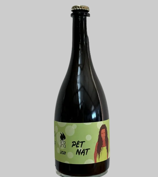 מרץ226 - פטנט דבוקי 2021