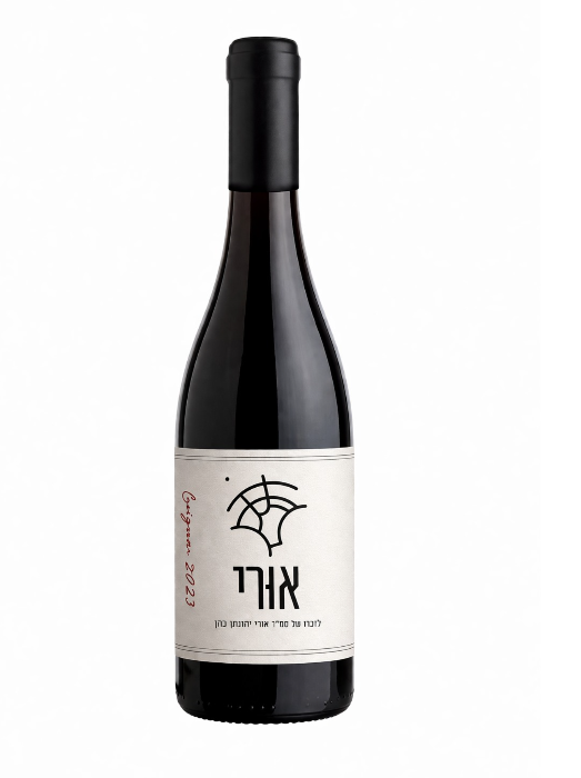 אפר9 - אורי. קריניאן 2023 צעיר