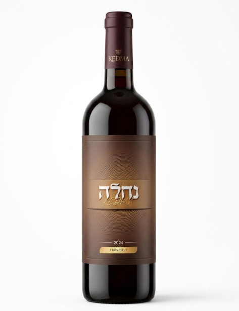 יוני16 - שישייה מעורבת נחלה 2024 יקב קדמא