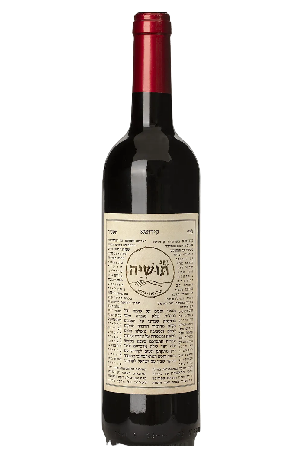 יוני6 - קידושא 2025