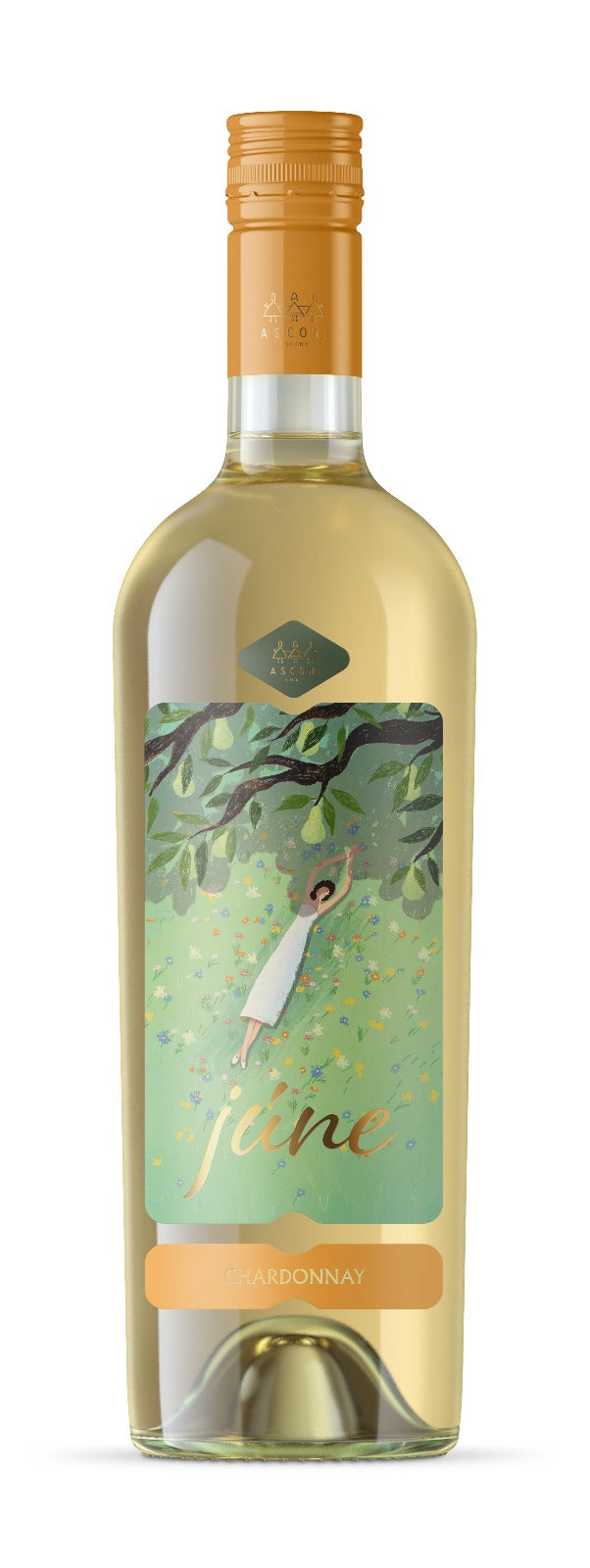 נוב12 - שרדונה ג'ון