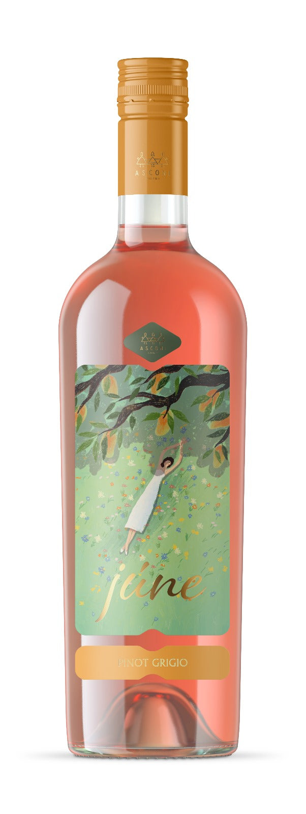 נוב12 - פינו גרי רוזה ג'ון