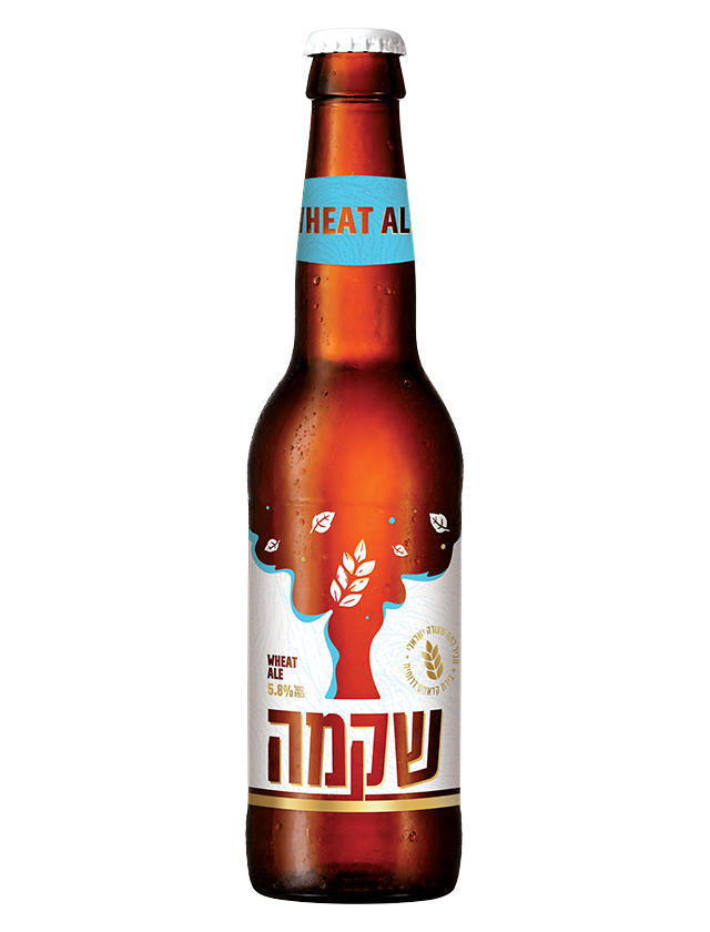 אוק21 - תריסר (12) שקמה חיטה 330 מ"ל כשר