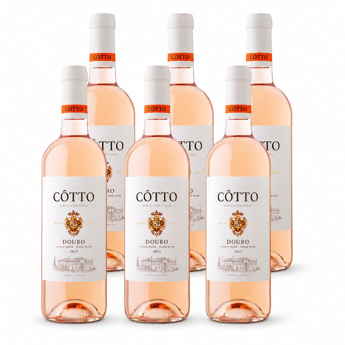 אוק13 - קוטו רוזה, דורו (שישייה)