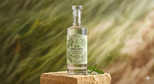 מרץ13 - ערק מישור החוף